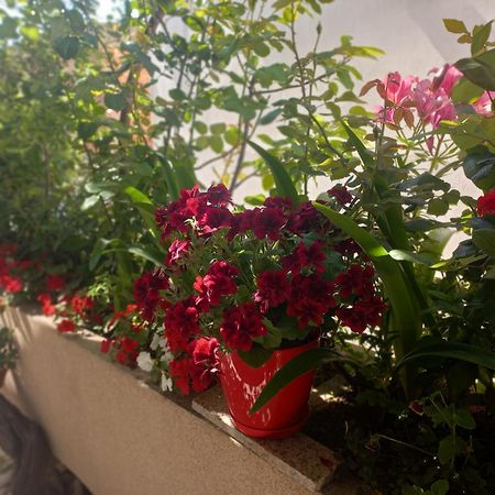 Apartments Gazi Улцинь Экстерьер фото