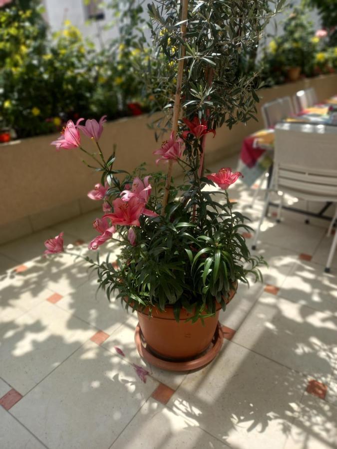 Apartments Gazi Улцинь Экстерьер фото