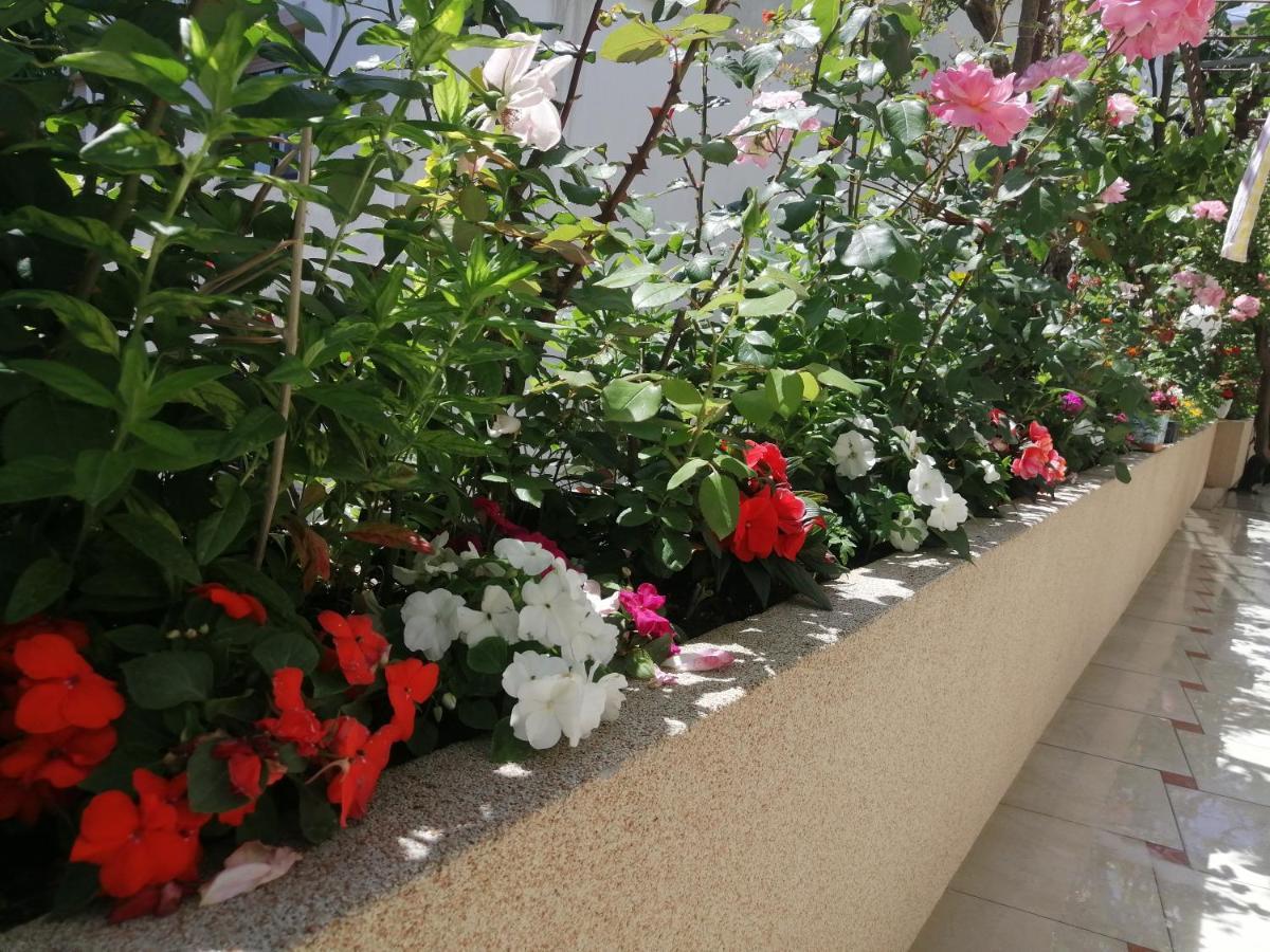 Apartments Gazi Улцинь Экстерьер фото